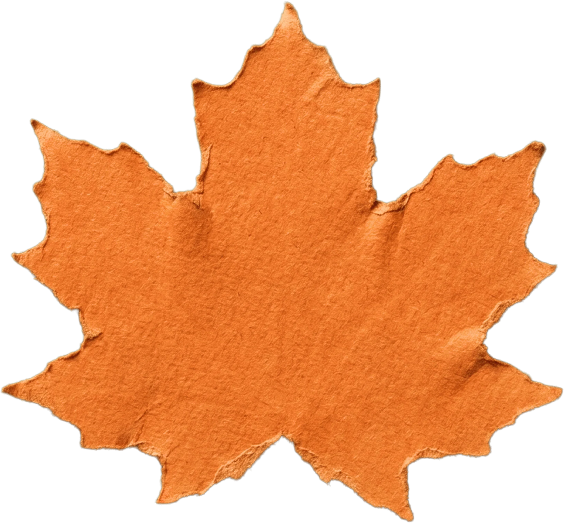 maple orange leaf decoration