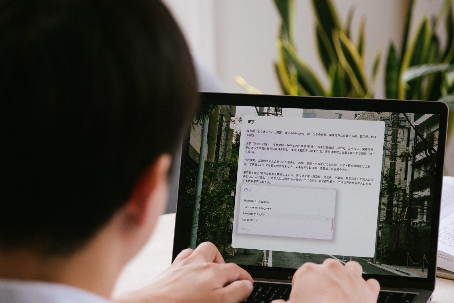 A wiki that grows with your company