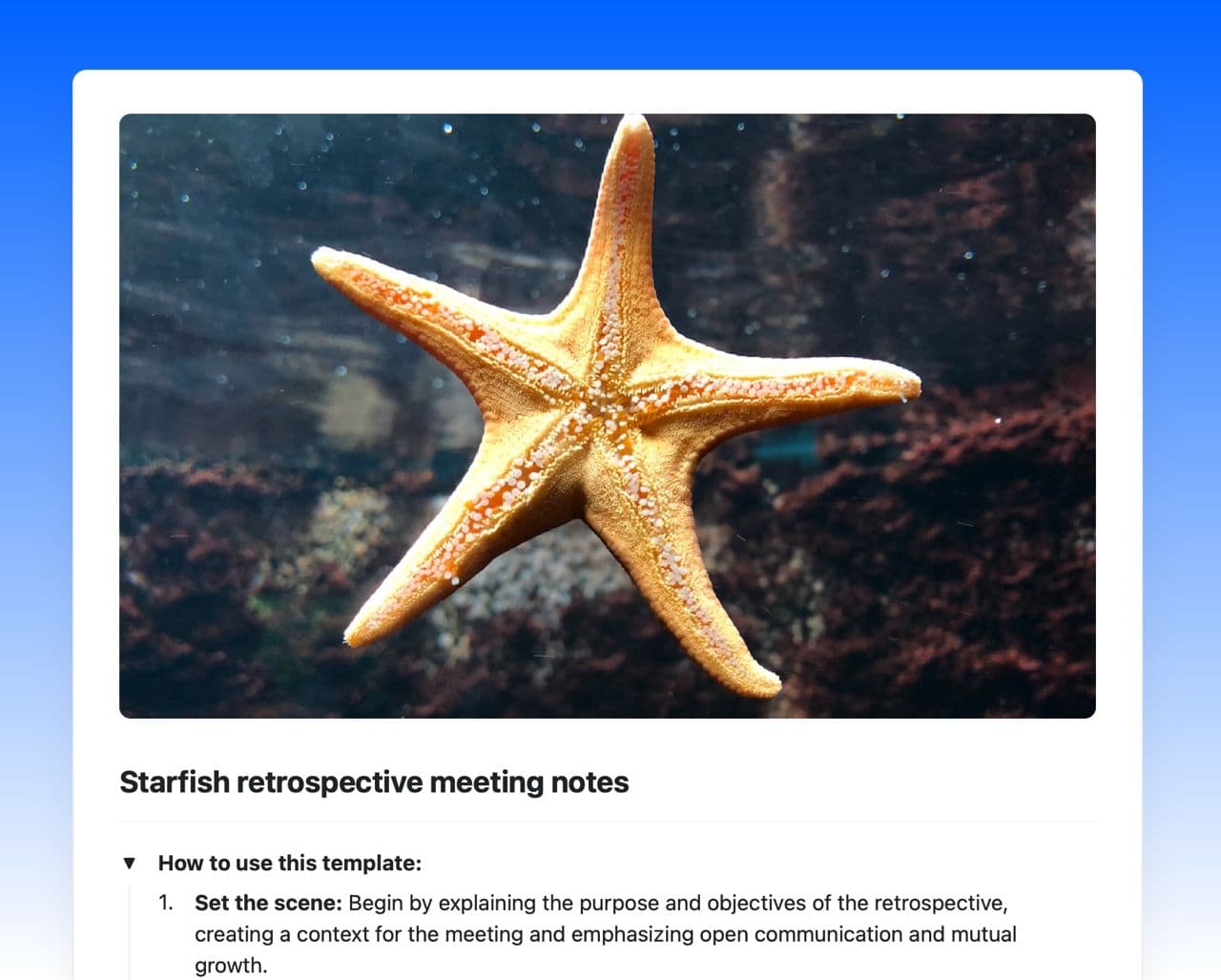 Craft Free Template: Starfish retrospective meeting notes