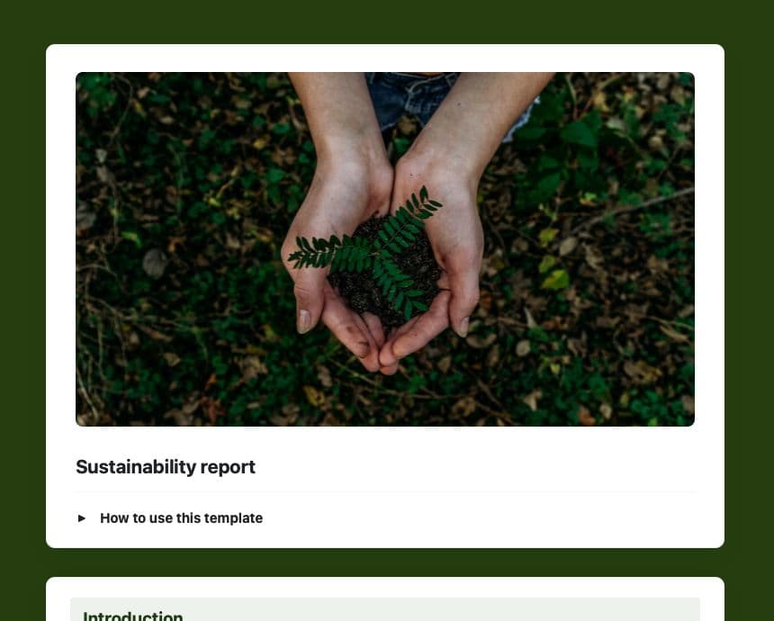 Craft Free Template: Sustainability report
