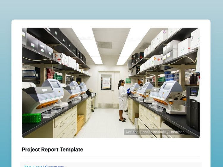 Craft Free Template: Project Report Template