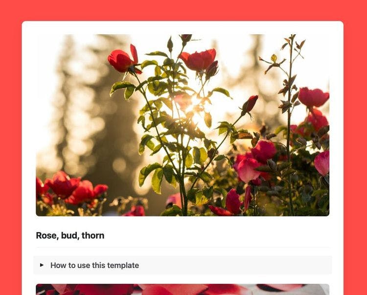 Craft Free Template: Rose, bud, thorn in Craft