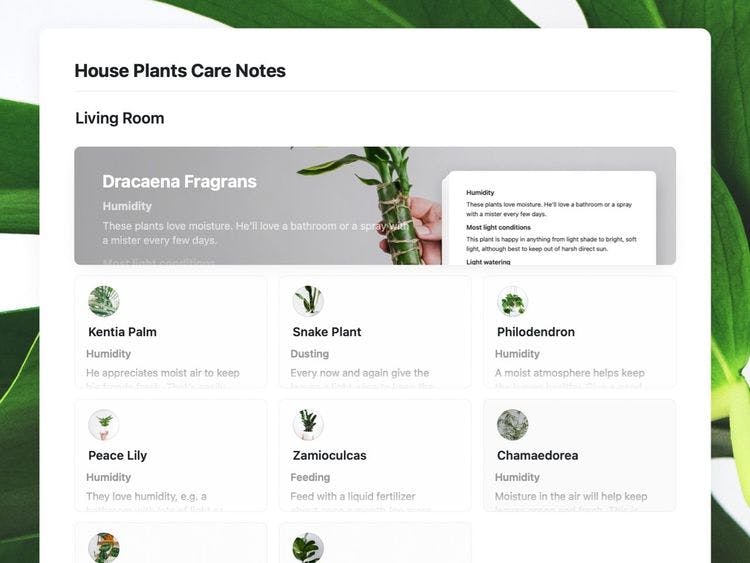 Craft Free Template: House Plant Care Notes