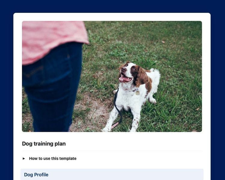 Craft Free Template: Dog training plan in Craft