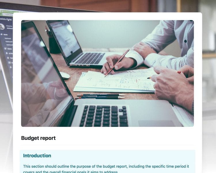 Budget report in craft